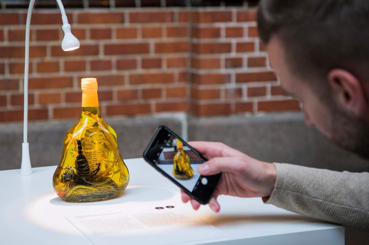 Шведский музей отвратительной еды показал необычный алкоголь