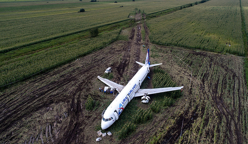 Лайнер Уральских авиалиний сел на кукурузное поле из-за чаек 